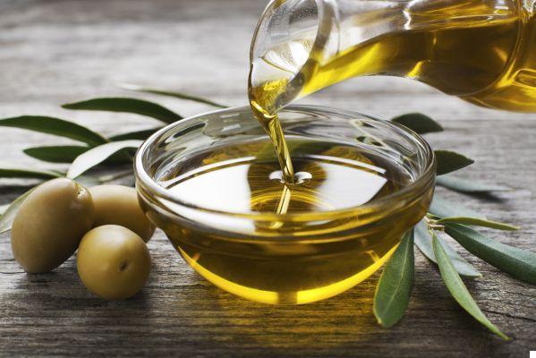 Nuevo aceite de oliva: sus características y por qué es bueno para ti