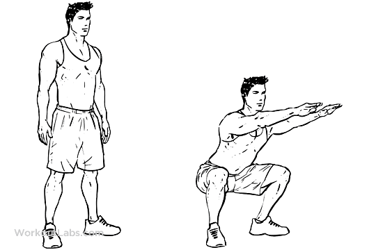 Las flexiones en las piernas | Técnica y músculos involucrados