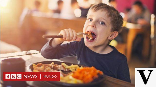 Dieta vegana: el TAR de Bolzano niega un menú sin proteínas animales a un niño en la guardería