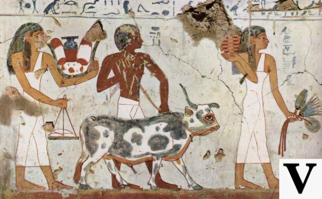 Los antiguos egipcios eran vegetarianos