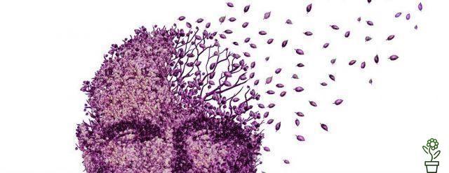 El rasgo de personalidad que aumenta el riesgo de desarrollar demencia en un 48%