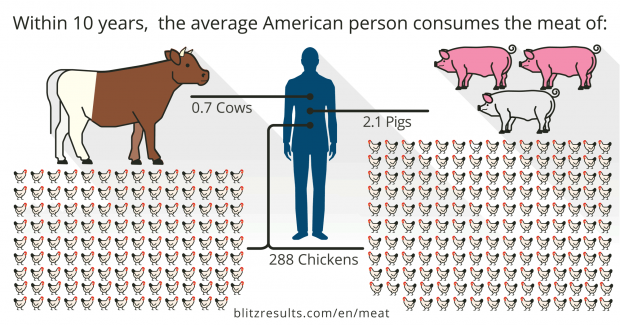 Calculadora vegetariana: ¿cuántos animales comemos en nuestra vida?
