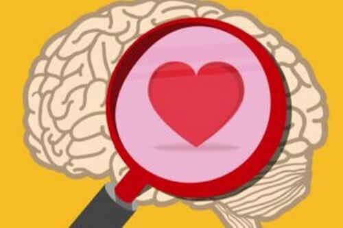 Inteligencia emocional práctica: oxitocina vs cortisol