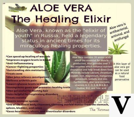 Aloe, un elixir de salud