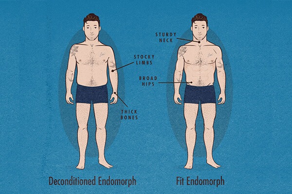 Dieta de ejemplo para la definición muscular de endomorfos