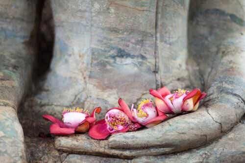 Los pilares del amor según el budismo