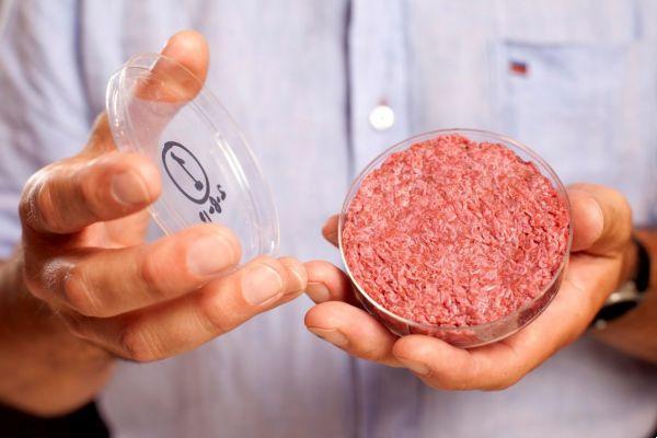 Alternativas a la carne: la carne sintética está en camino