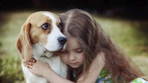La empatía canina: un poder curativo