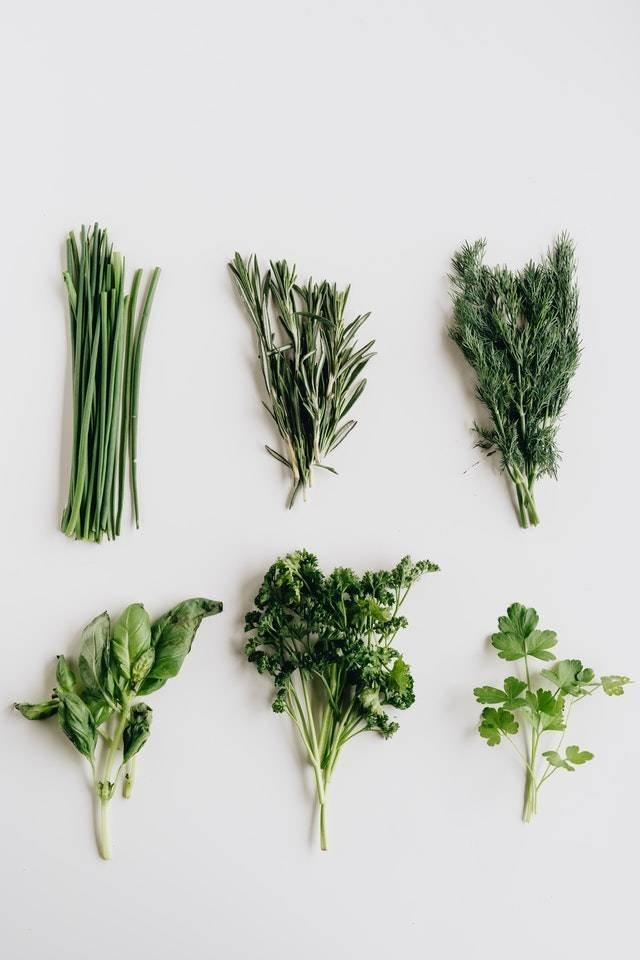 5 hierbas aromáticas para incluir en la dieta