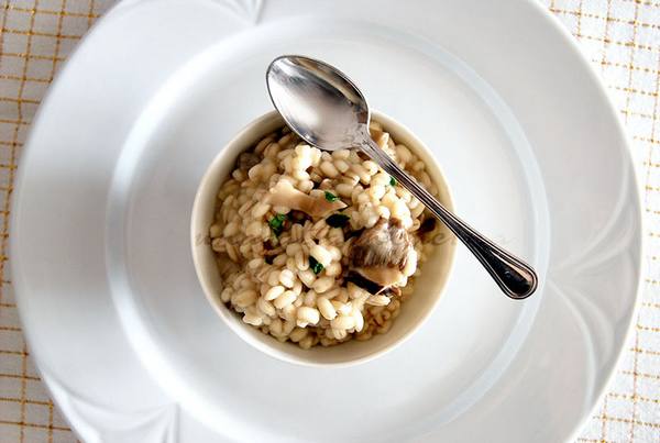 Hongos porcini: 20 recetas para todos los gustos